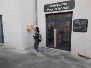 Distribution boites aux lettres à bouc bel air par une hôtesse devant l'entrée d'un magasin d'osthéopathe pour animaux