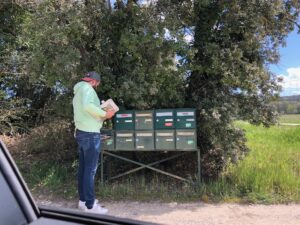 un distributeur en train de distribuer un cedex de boites aux lettres dans un chemin rural